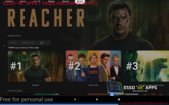 APK NexTv V3.0.17 + panels