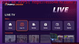 1740416877517.png