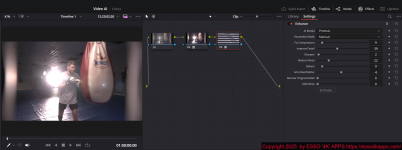 Video AI v5  STAND