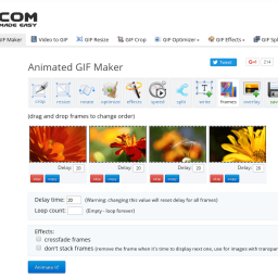 Gif Logo  SMARTERS v3.1.5