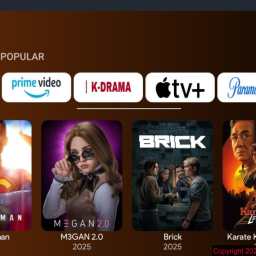 FLIX VISION V.3.1